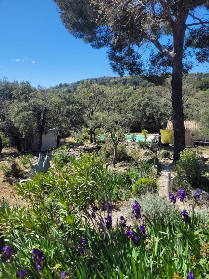 Vila Bastide Cigaline Le Beausset Exteriér fotografie