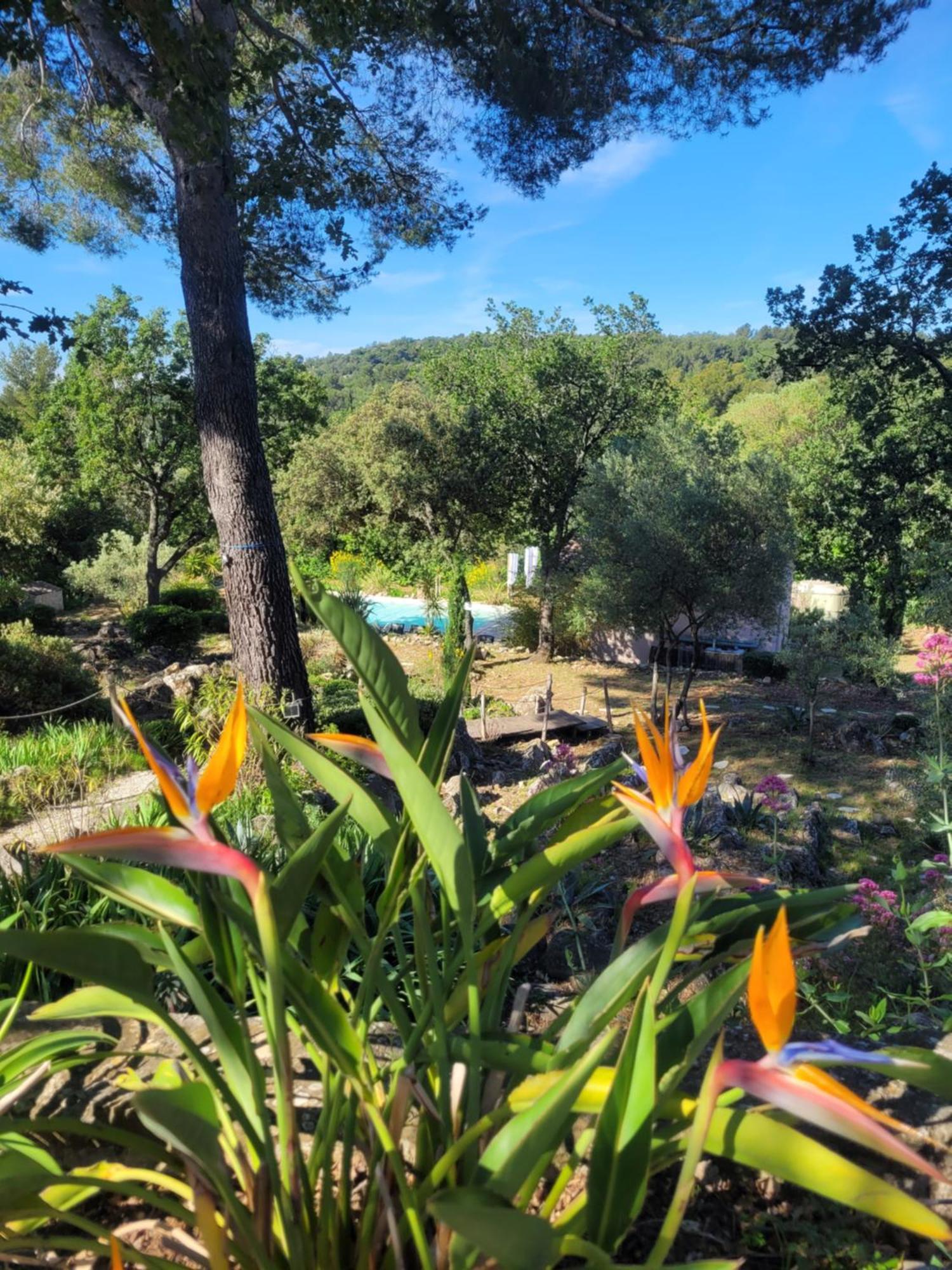 Vila Bastide Cigaline Le Beausset Exteriér fotografie