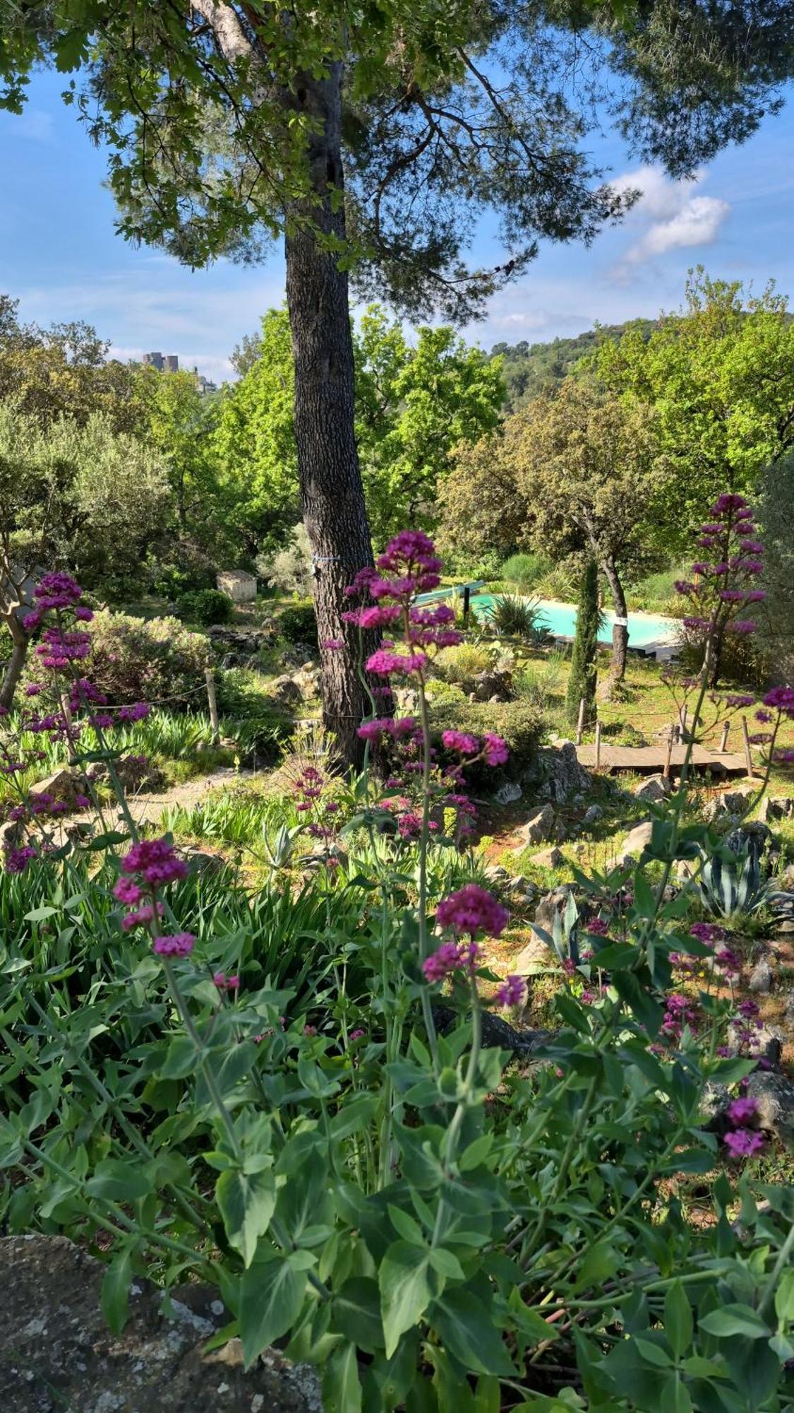 Vila Bastide Cigaline Le Beausset Exteriér fotografie